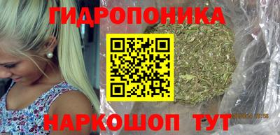 mdma Можга