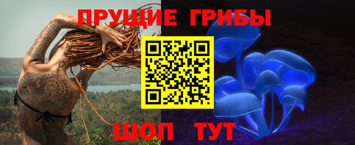 Псилоцибиновые грибы GOLDEN TEACHER Тольятти